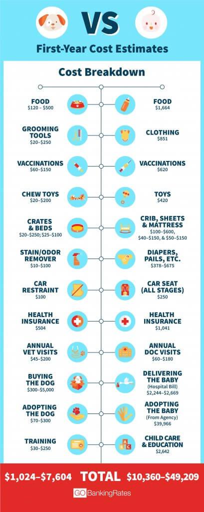 how much does it cost to own a dog per year