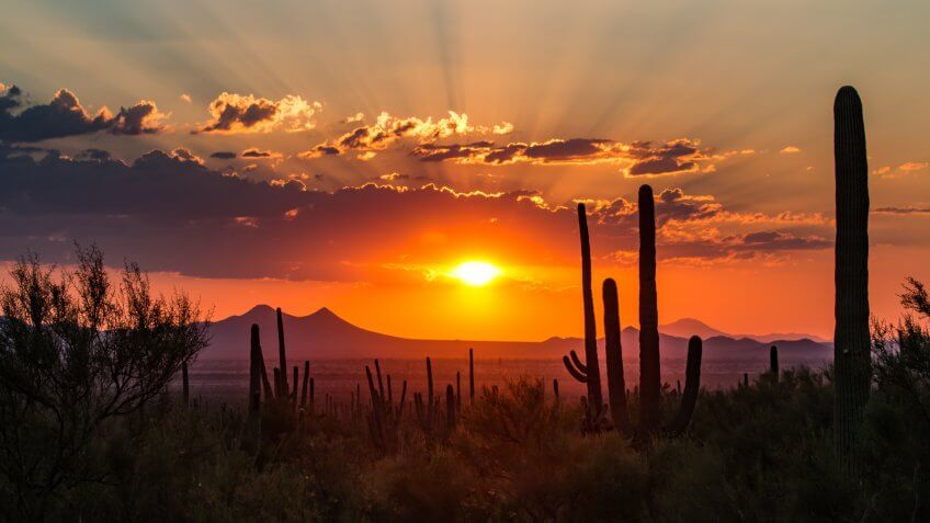 Tucson, Ariz.