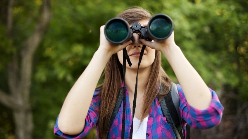 Go Bird Watching