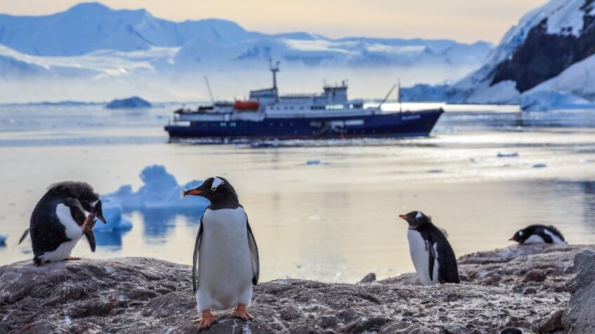 Gentoo penguins standing on the rocks and cruise ship in the background at Neco bay, Antarctica.