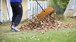 7 Best Fall Side Gigs To Boost Your Income — ChatGPT Gives Top Picks