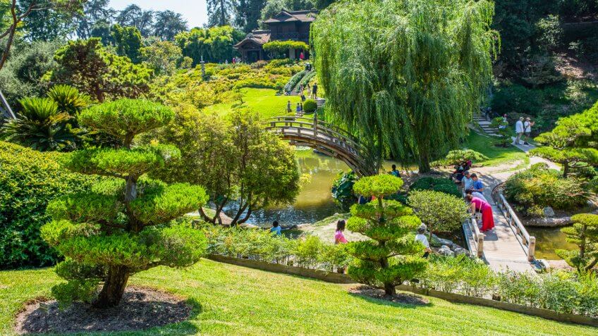 the huntington library
