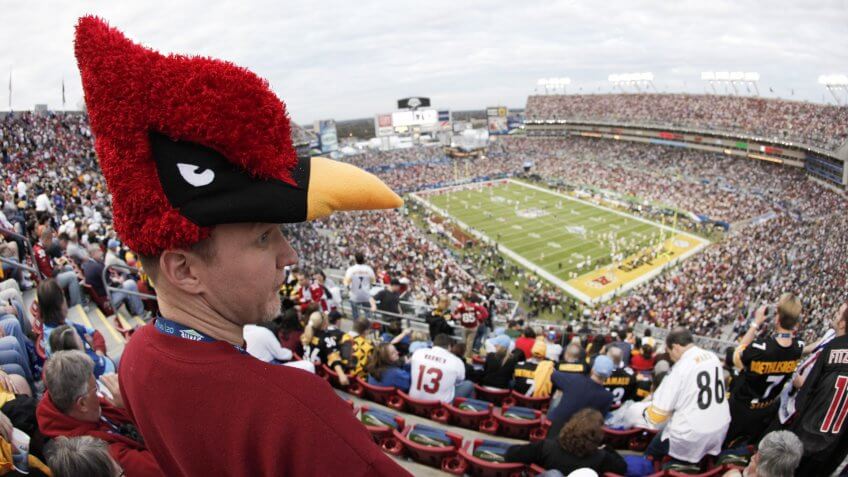 An Arizona Cardinal fan looks over the field before the NFL Super Bowl XLIII football game between the Arizona Cardinals and the Pittsburgh Steelers, in Tampa, FlaSuper Bowl XLIII Football, Tampa, USA.