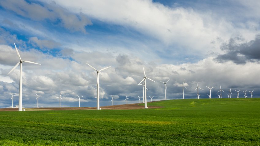 Rows of wind turbines line a grassy field in northern Oregon.