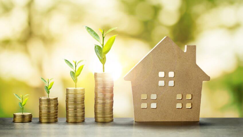 House Model and Coins