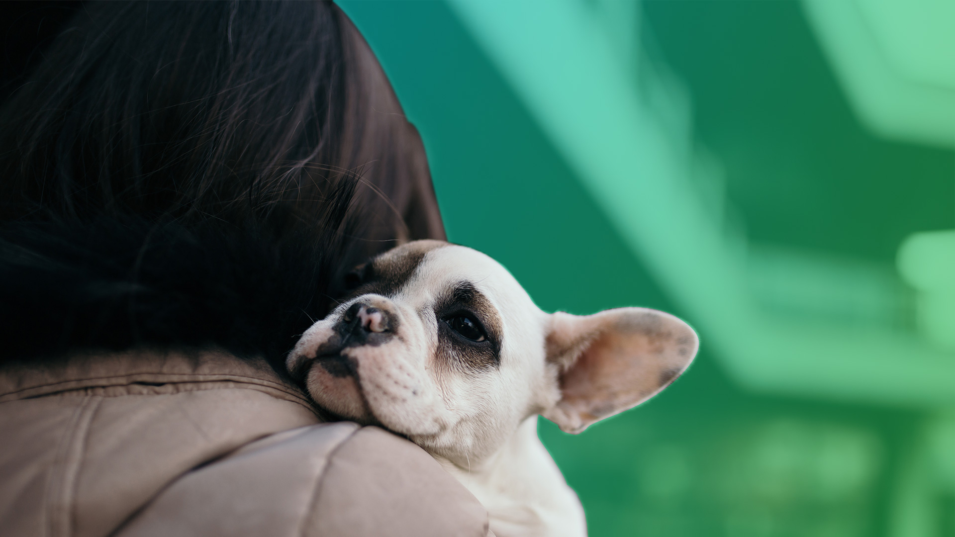 Adopting an Older Dog Helped Save This Womans Life photo Adopting an Older Dog Helped Save This Womans Life photo