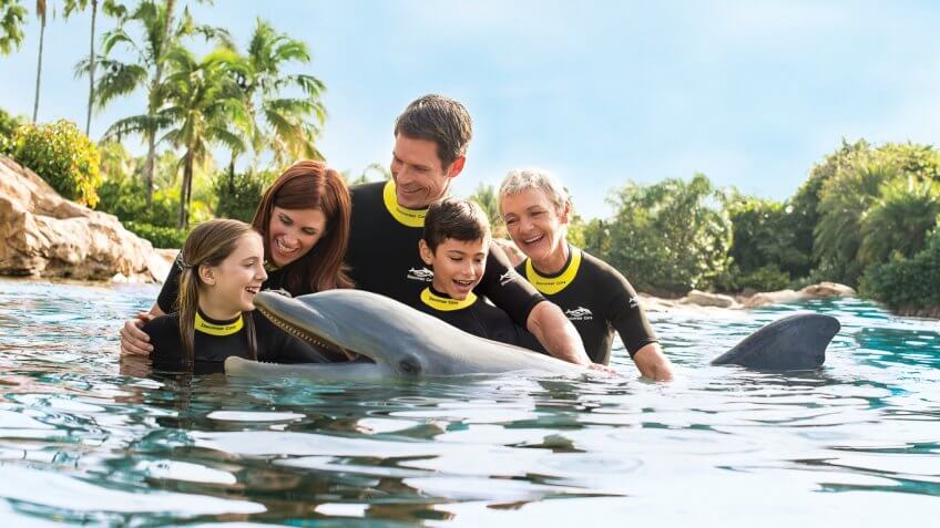 Discovery Cove family with dolphins