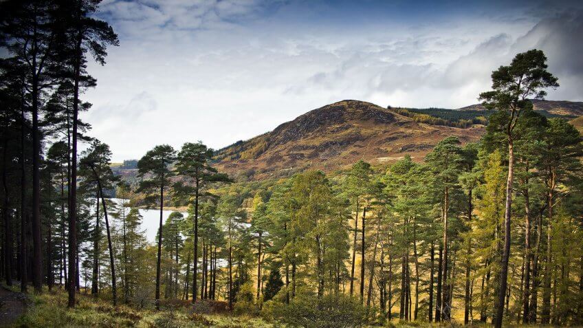 Galloway Forest Park, Scotland