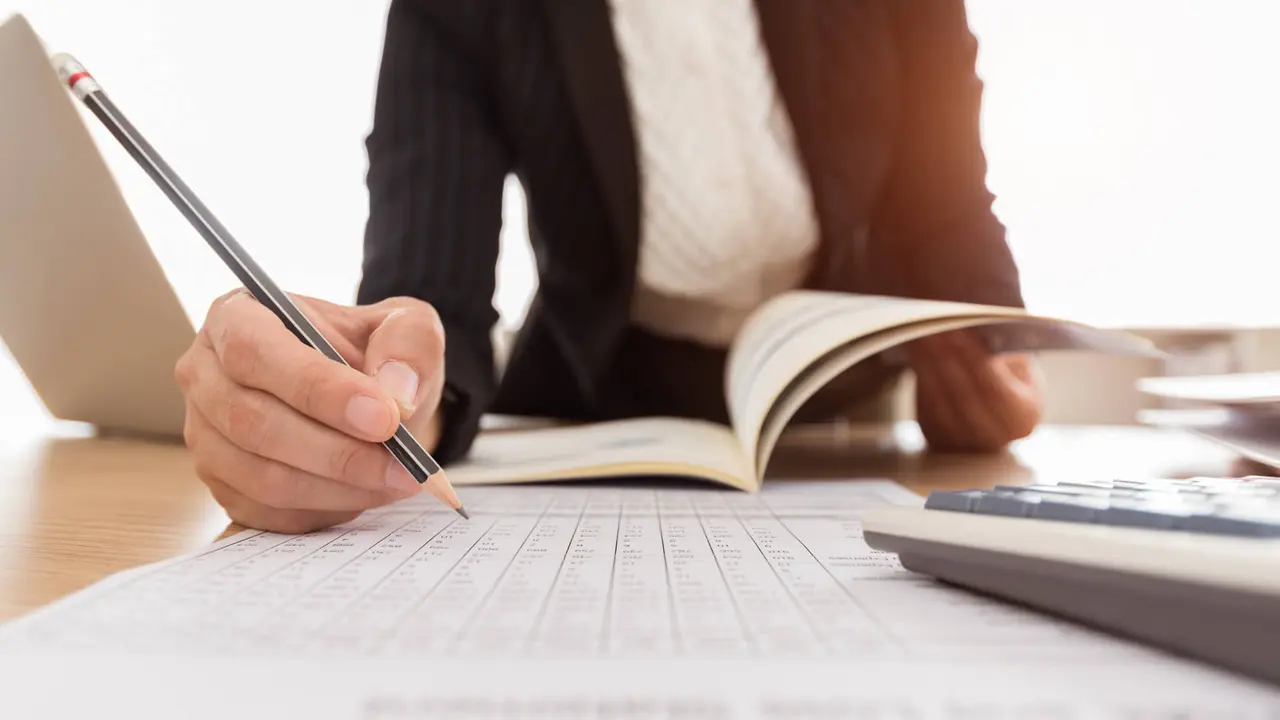 auditor verifying information