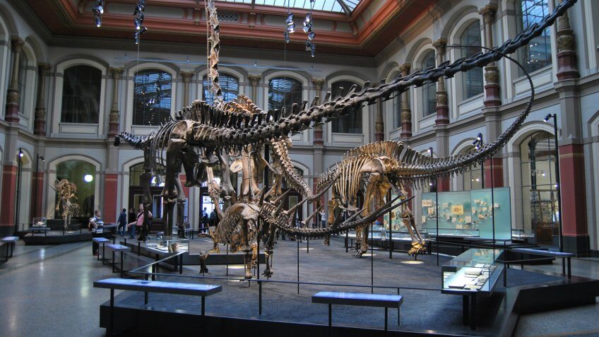 Museum für Naturkunde, Museum of Natural History in berlin, Germany