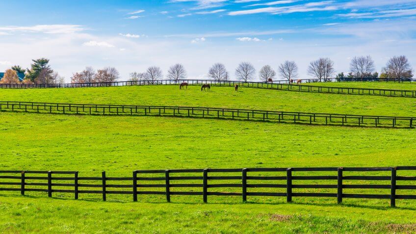 Hillview, Ky.