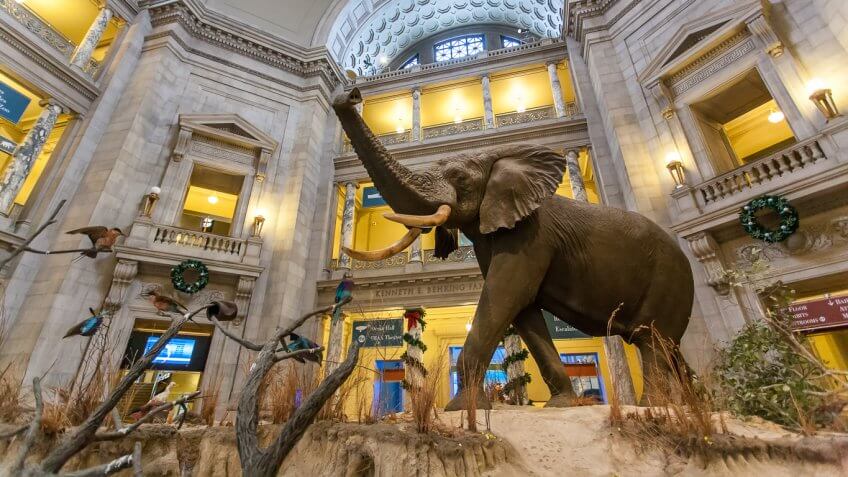 Smithsonian National Museum of Natural History
