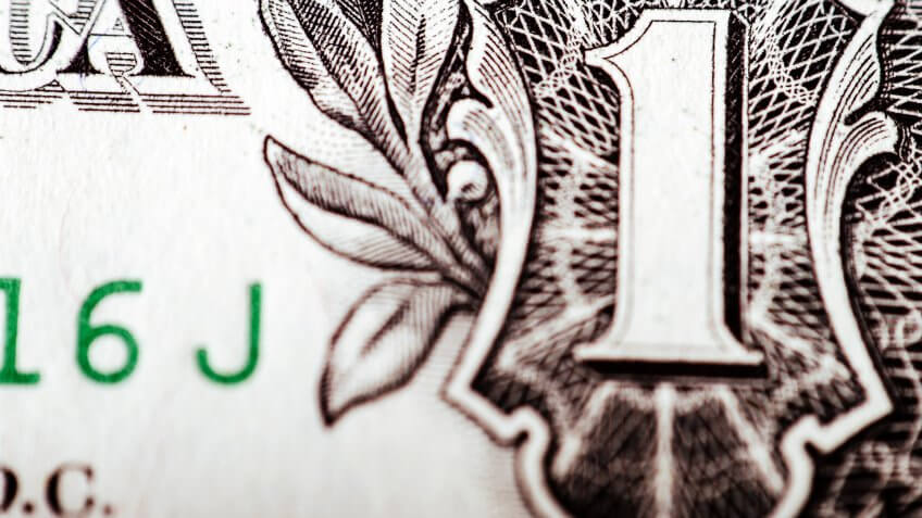 close up of US dollar bill spider