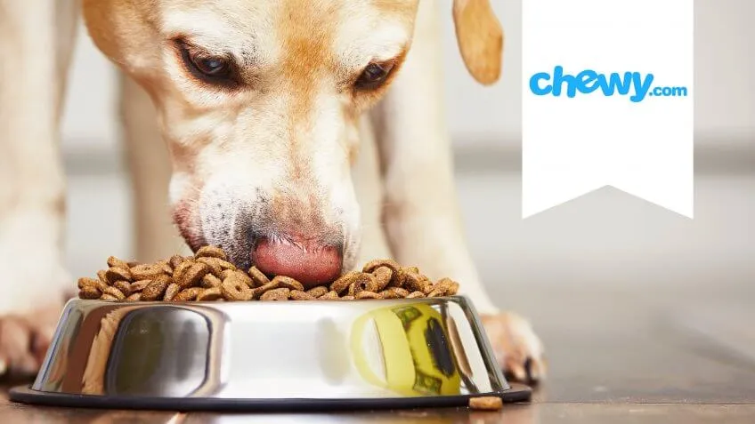Chewy.com Finds a Forever Home at PetSmart
