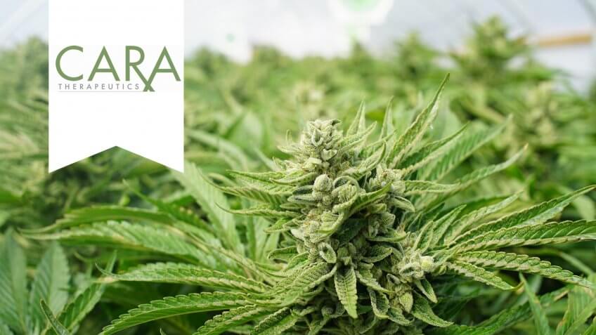Cara Therapeutics: CARA