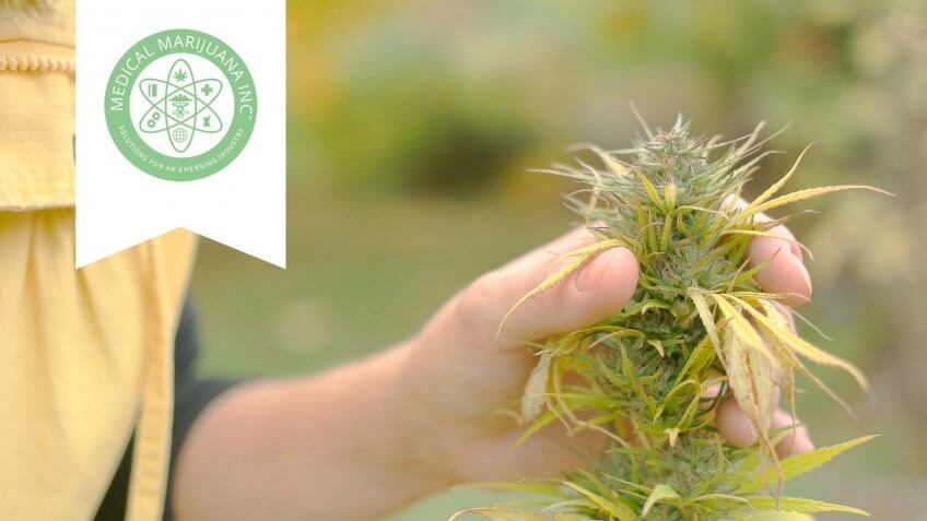 Medical Marijuana, Inc.: MJNA