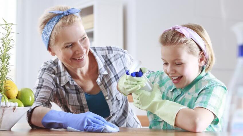 Cleaning Services: Up to $20 per hour