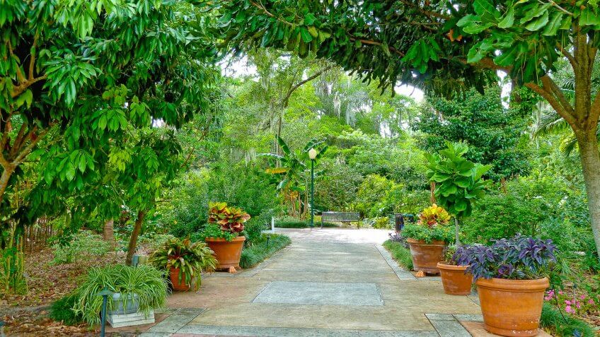 Free Things to Do in Florida for the Whole Family