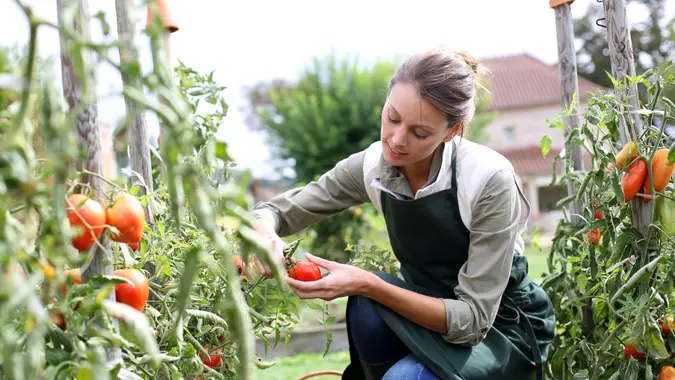 Spring Into Savings: How a Fruit and Vegetable Garden Can Save You Money on Groceries – GOBankingRates Spring Into Savings: How a Fruit and Vegetable Garden Can Save You Money on Groceries – GOBankingRates