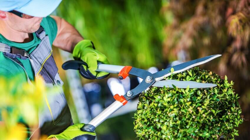 Overpaying the Landscaper
