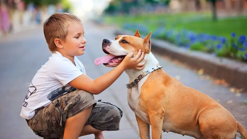 What is your favorite pet’s name?