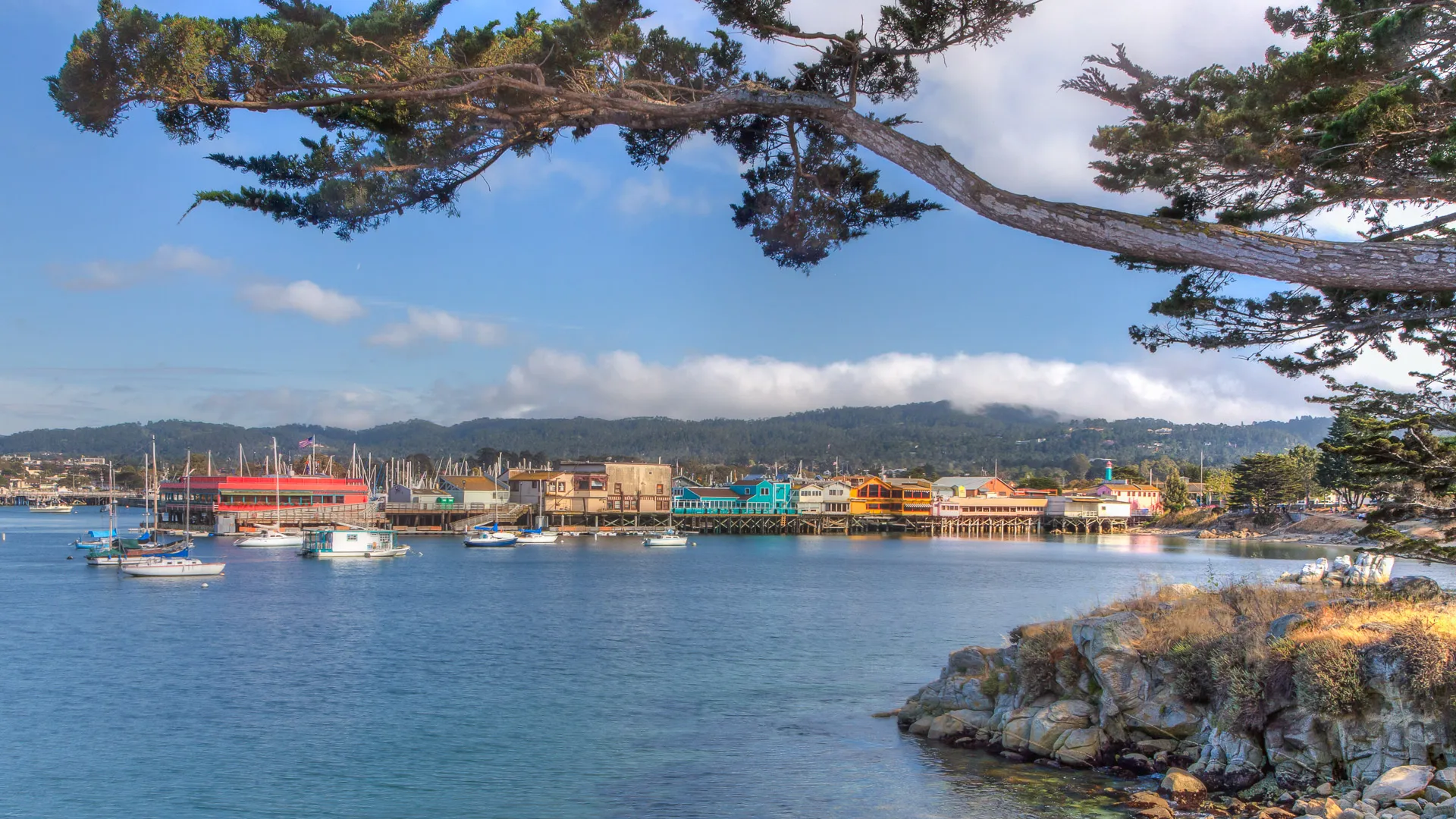 Monterey California seascape