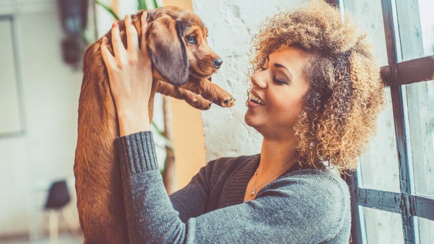 portrait of attractive young african woman with curly hair sitting behind the window, while playing with little dog.