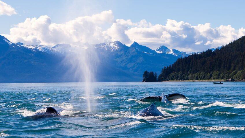 11657, Best Cities for Retirement in These Income Tax-Free States, Horizontal, Juneau Alaska