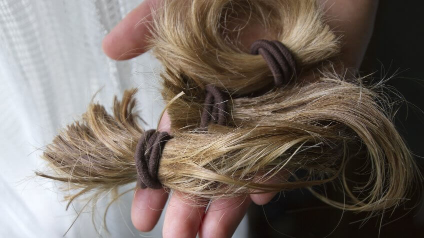 Close up of a hand holding a thick, cut-off blond ponytail in the light of a window consisting of long, beautiful tail of hair held together with hair ties