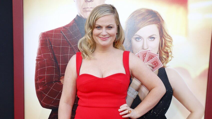 11597, Amy Poehler, Celebrities, Celebrity Networth, Networth, The Richest SNL Cast Members to Host 'Weekend Update'