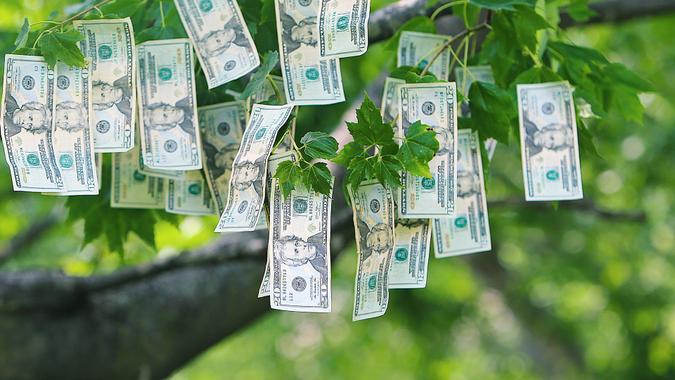 L'argent qui pousse sur les arbres copie l'espace.