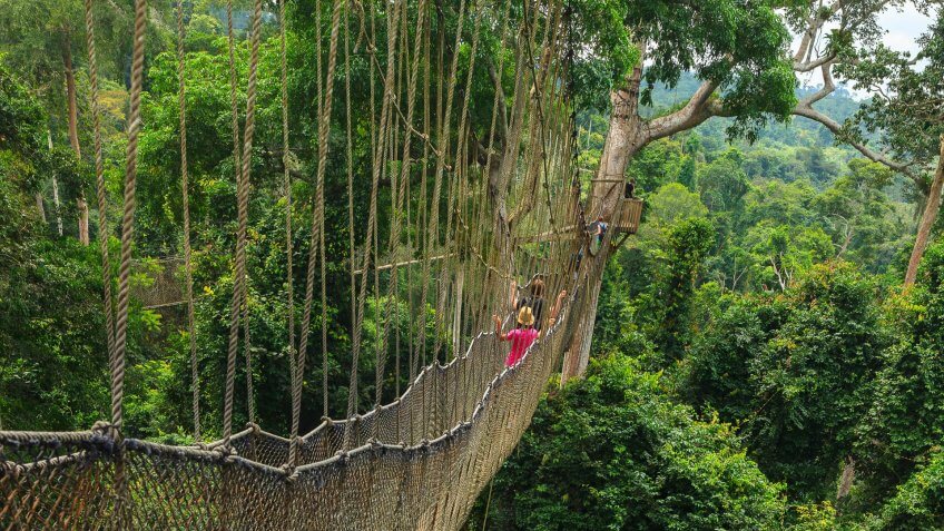 Kakum National Park Ghana Canopy Walk.