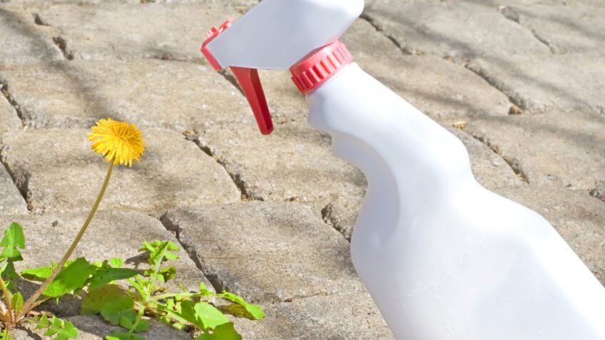 weed killer.