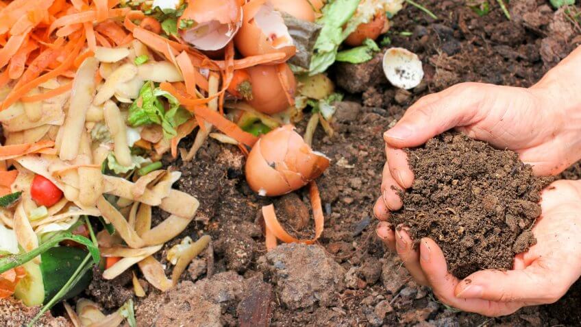 Compost.
