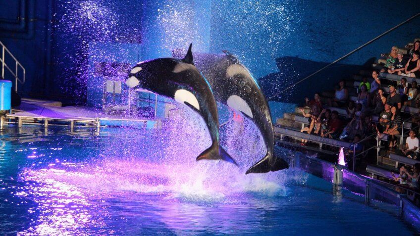 SeaWorld
