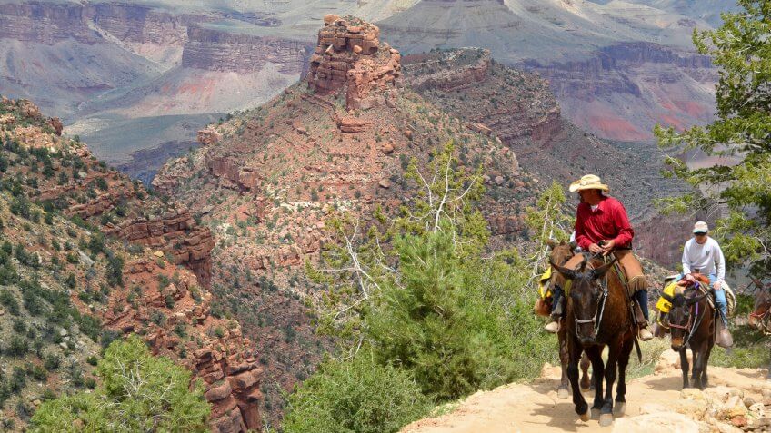 Guide leading mule riders up a steep portion of the Bright Angel Trail known as Heartbreak Hill.
