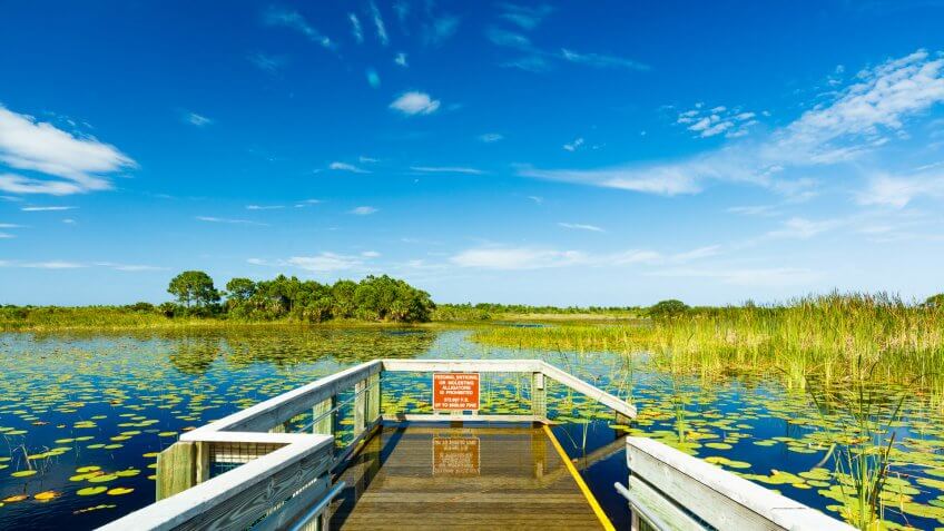 Beautiful nature preserve in Port Saint Lucie Florida.