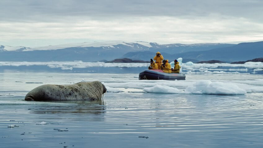 Ecotourism in extreme conditions.