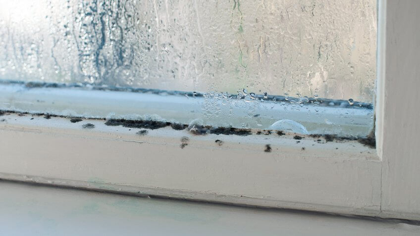 "Color image of an old window with rotten wood and mold on it inside an older home, during winter.