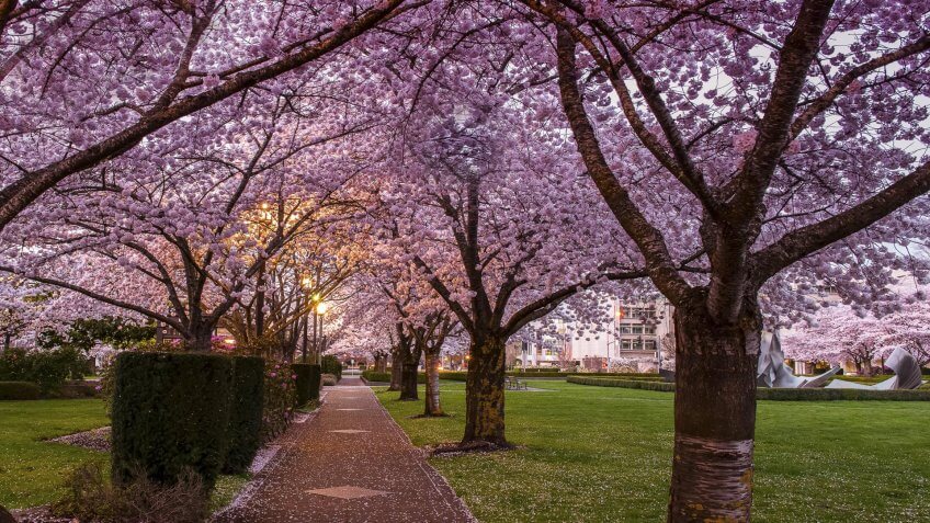 Salem-OR