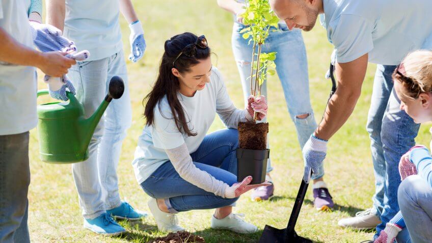 Volunteer
