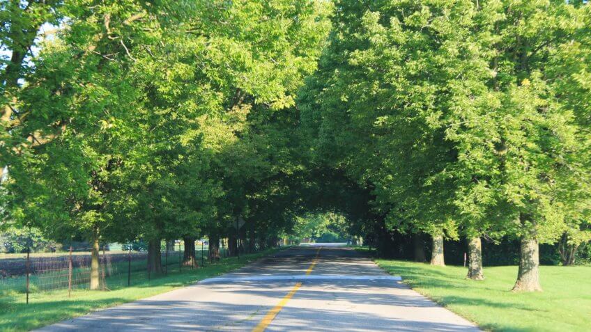 Barton Hills, Mich.