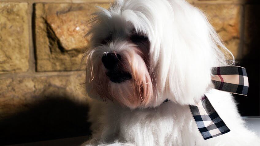 Another strobist experiment with Mr Don.