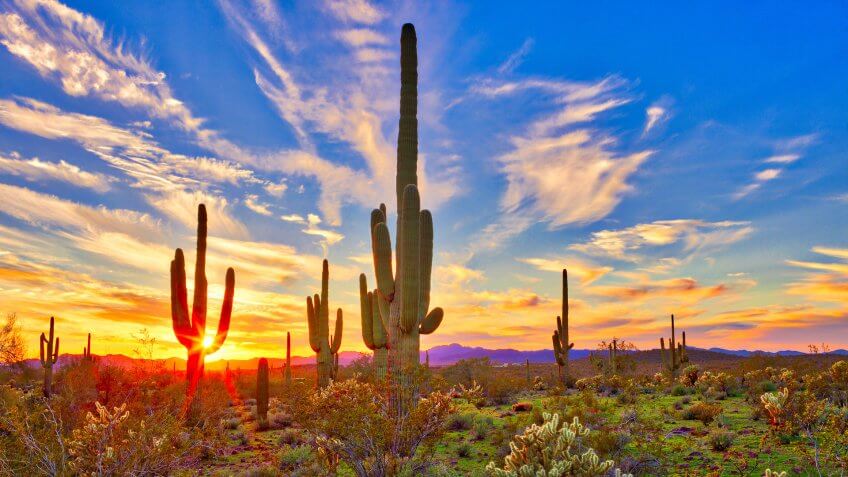 Arizona