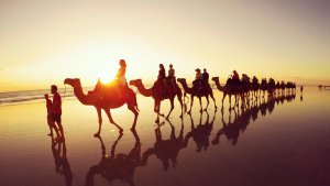 15 Bucket-List Safaris Worth the Splurge