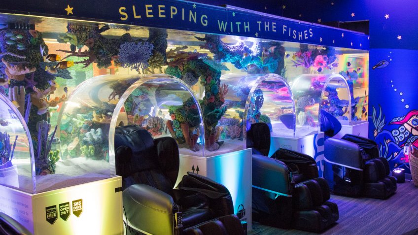 Zappos, nap room