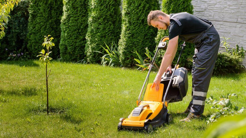 lawn-care-specialist