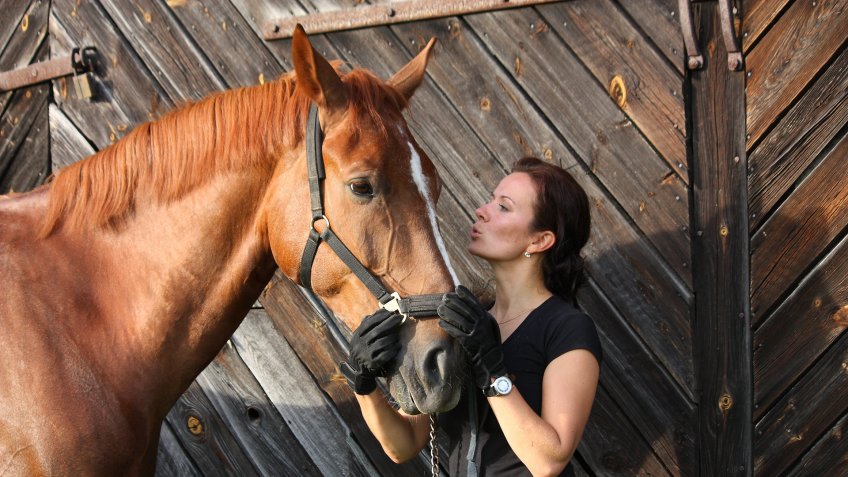 hippotherapist