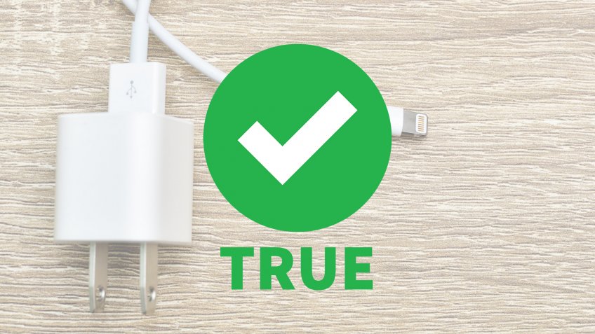 Apple iPhone charger