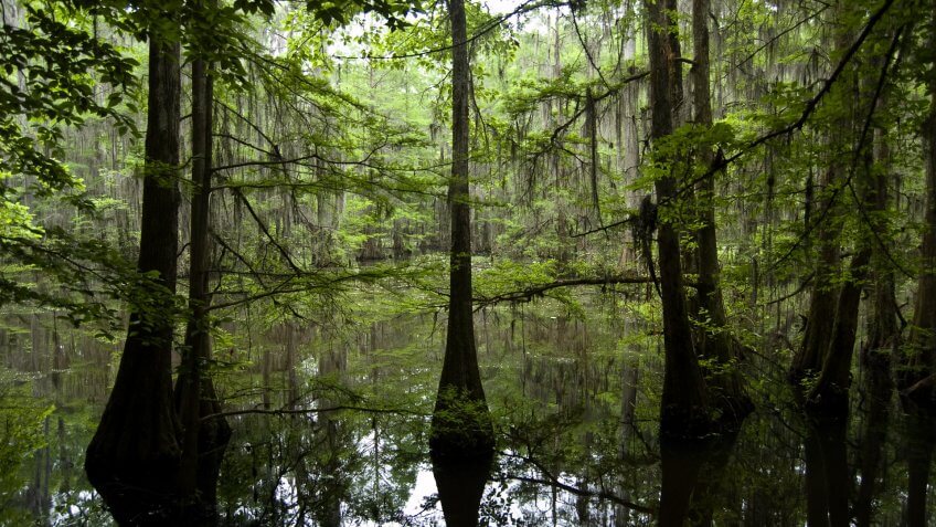 Alabama